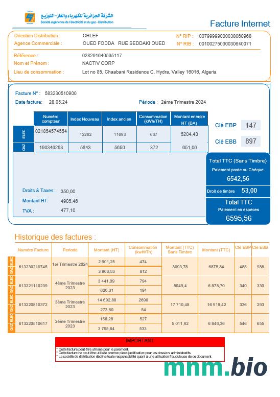 Algieria Societe Algerien Dystrybucja Internet Business utility bill Word and PDF template